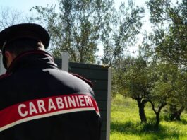 trasporto irregolare di rifiuti
