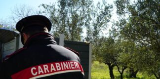 trasporto irregolare di rifiuti