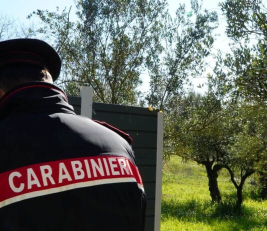 trasporto irregolare di rifiuti