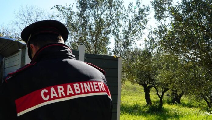 denunciato-40enne-per-trasporto-irregolare-di-rifi trasporto irregolare di rifiuti