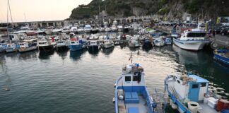 fondo per la pesca