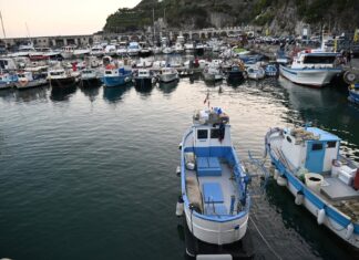 Fondo da 10 milioni per la pesca: un aiuto per le marinerie in crisi fondo per la pesca