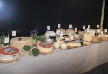 formaggi italiani DOP