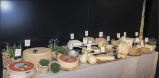 formaggi italiani DOP