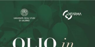 Olio in Campus