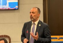Petitto: “Nessuna copertura economica per lo Stadio Partenio Lombardi” finanziamenti Stadio Partenio