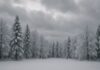 Previsioni climatiche: un inverno estremo in arrivo? inverno estremo