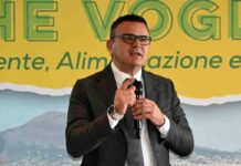 Ristori per allevatori campani colpiti da tubercolosi bovina ristori allevatori Campania