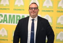 Roberto Mazzei è il nuovo direttore di Coldiretti Campania Roberto Mazzei Coldiretti