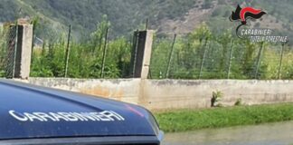 sequestro area abusiva