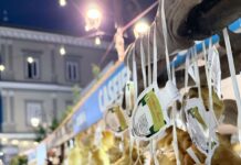 Successo per ‘A Vico per Cacio’: unione tra maestri casari e pubblico entusiasta A Vico per Cacio