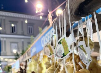 Successo per ‘A Vico per Cacio’: unione tra maestri casari e pubblico entusiasta A Vico per Cacio