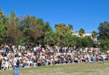 Successo per il Raduno di Barboncini al Parco Pinocchio di Salerno raduno di barboncini
