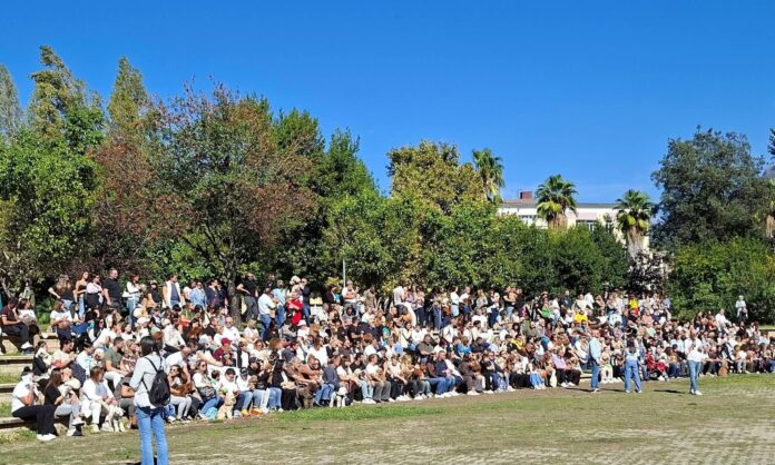 successo-per-il-raduno-di-barboncini-al-parco-pino raduno di barboncini