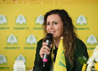 Veronica Barbati nuova Presidente del Consorzio Olio Campania IGP Olio Campania IGP