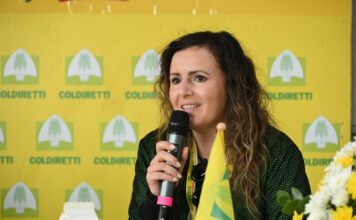 Veronica Barbati nuova Presidente del Consorzio Olio Campania IGP Olio Campania IGP