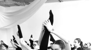 ViaggioDANZA formazione